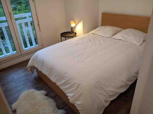 Capbreton 2 bedroom apartment between forest and beach in Route de Scoorts