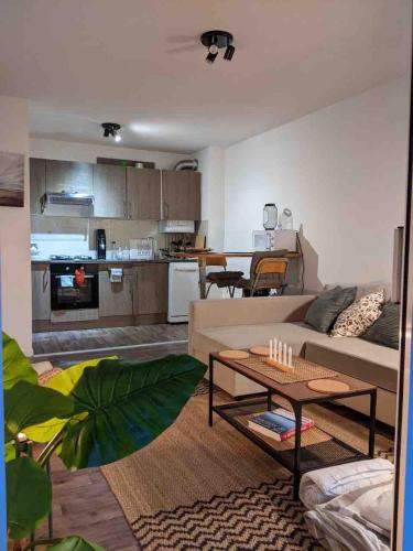 Capbreton 2 bedroom apartment between forest and beach in Route de Scoorts