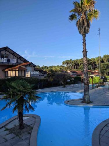 Capbreton 2 bedroom apartment between forest and beach in Route de Scoorts