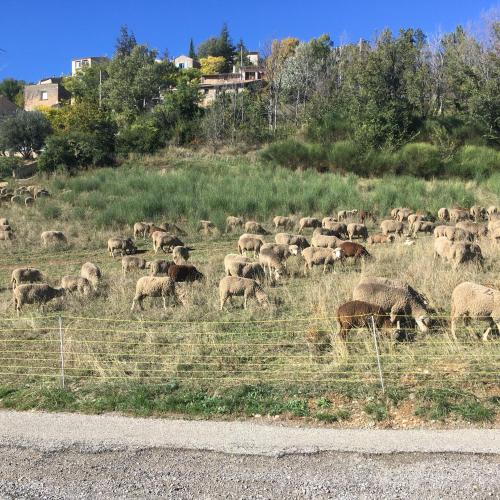 A környék, Place du village Haute Provence, 3 nuits au moins in Puimichel