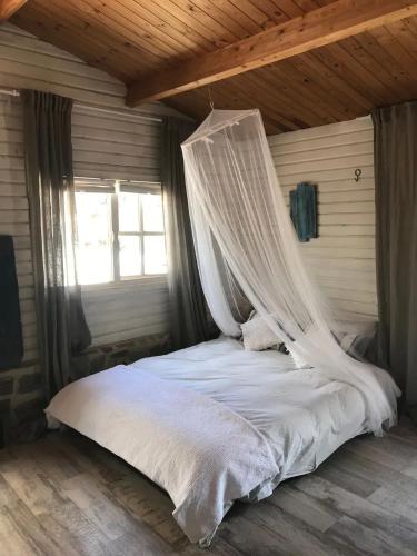 Charming Bungalow in Madrigueras in Algodonales