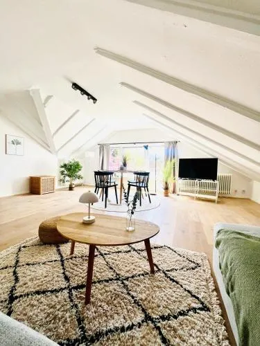 Gemütliches Loft in Homburg - Komfort & Charme direkt an der Uniklinik mit Küche und Bad in Homburg, Deutschland