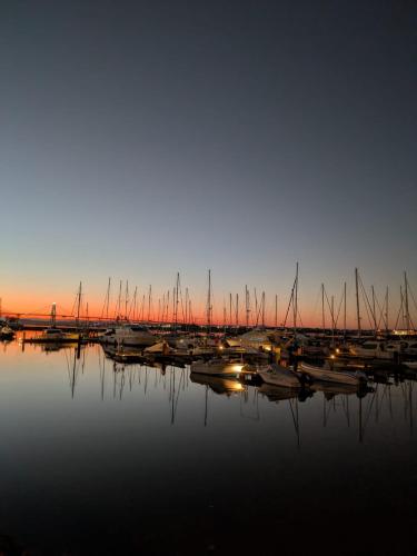 Sunset River, Figueira da Foz (photo 6)