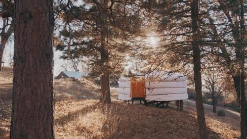 Cosy yurt at a nature retreat in Dunlap
