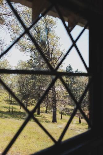 Secluded rustic 3-bedroom cabin on private land