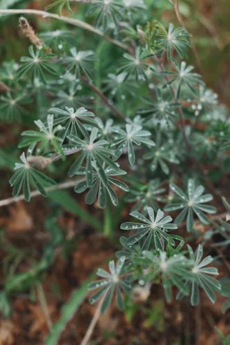 Secluded rustic 3-bedroom cabin on private land