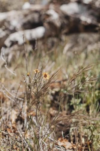 Secluded rustic 1-bedroom cabin on private land