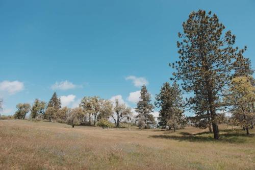 Secluded rustic 1-bedroom cabin on private land