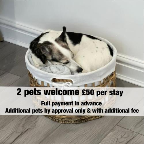 RUBY Delightful Suite Moseley Mews, Birmingham By StayStaycations, Birmingham (photo 8)