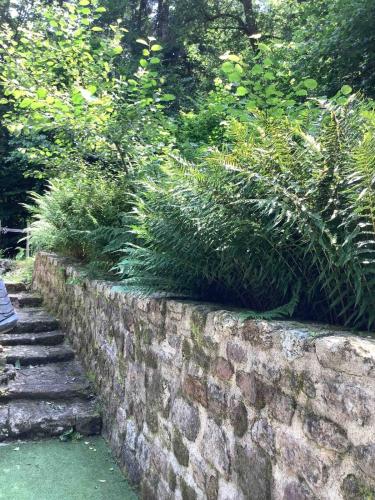 Woodland Cottage in Faux-la-Montagne