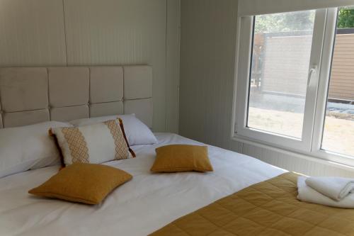 1 double bed, 1 sofa bed