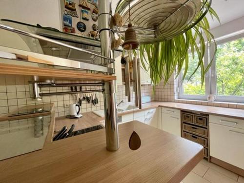 Haus in Ossendorf Köln, Kolín nad Rýnem (fotografie 9)
