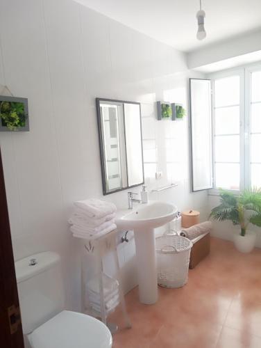 CASA AMELIA Apartamento Bajo con terraza y jardín Apartamento 1ªPlanta