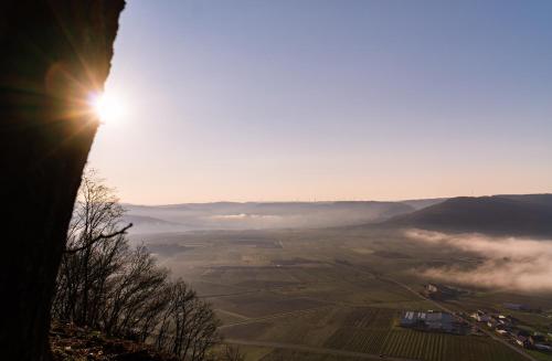 Surrounding environment, Fewo Rieslinggluck - Urlaub im Wein- und Ferienort Bekond in Bekond