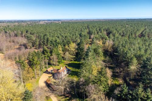 Marvellous secluded forest lodge - Stone Hall - image 3