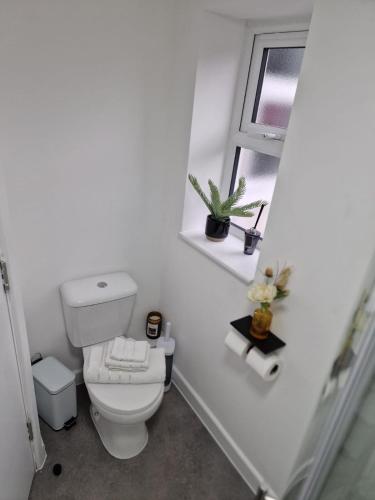 Comfortable City Haven flat - image 4