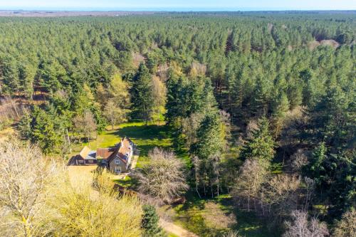 Marvellous secluded forest lodge - Stone Hall - image 5