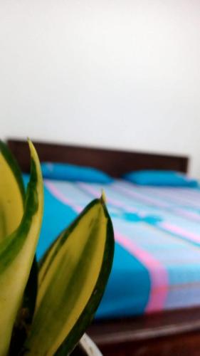 Two-Bedroom Apartment image 2