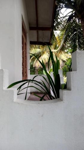 Two-Bedroom Apartment image 9