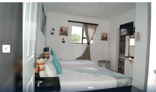 East griqualand Accomodation and Conference in Kokstad