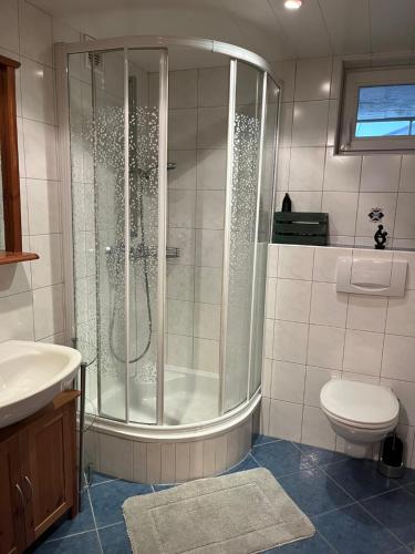 Haus Vogelsberger - image 7