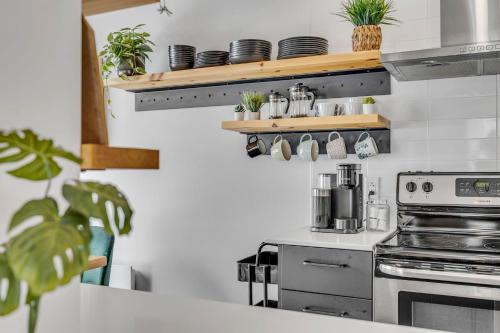 Initial - Kabanita - MSA