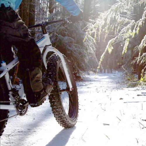 Initial - Kabanita - MSA