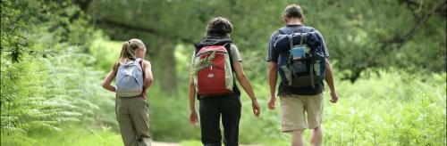 Initial - Kabanita - MSA