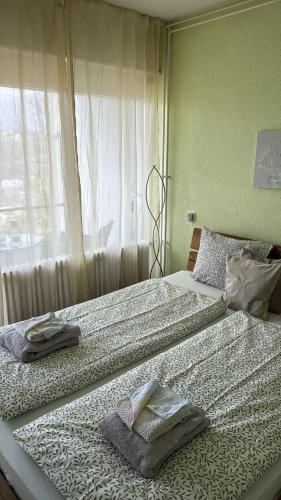 Appartement Belle Vue in 普雷加索納