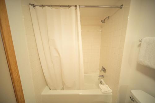 Pines 2086 - image 11