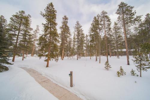 Pines 2086 - image 6