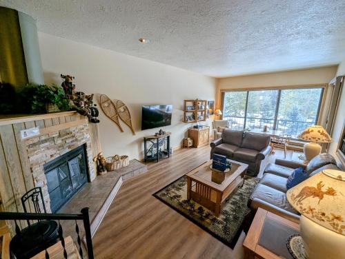 Pines 2047 - image 8