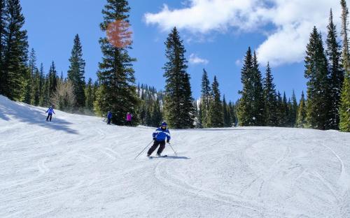 Ski Run 501 - image 6