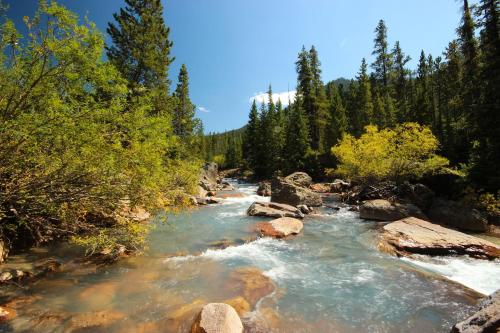 Settlers Creek 6565 by SummitCove Lodging