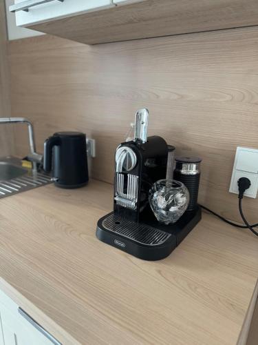 Helles APT Wiesbaden Mainz FFM 2 Schlafzimmer in Ginsheim-Gustavsburg