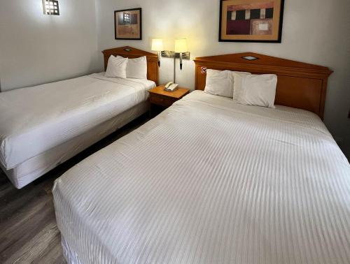 Queen Room with Two Queen Beds - Non-Smoking image 3
