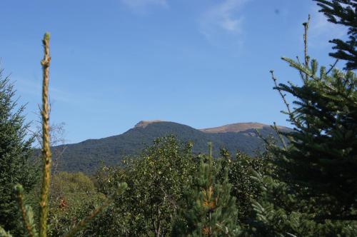 Domek Pod Jawornikiem