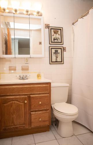 Sunny Fully Furnished Studio in Chelsea, New York (Foto 10)