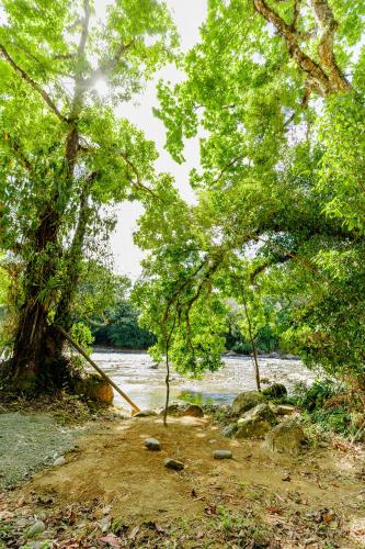 Apkārtne, Camping Finca Planeta Sano in Naranjito