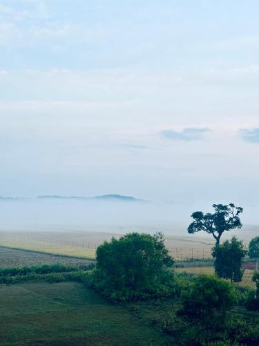 Mungaru Homestay, Talaguppa in Banumane