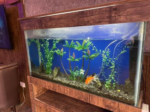 PRESKEN HOTELS @FAJODD-4