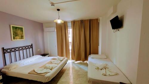 Hostal Europa