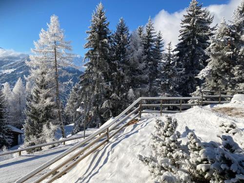 Les Boucanier - image 4