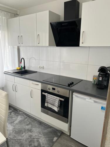 Özkurt-1, Friedrichshafen (fotografie 9)