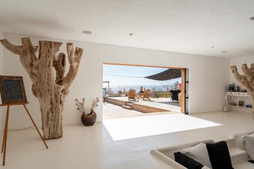 The White Lodge in San José del Cabo, Mexico