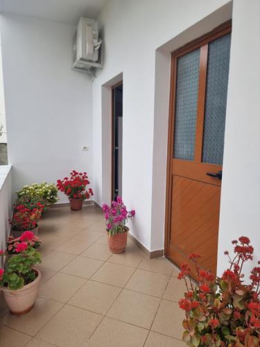 Rooms for rent - Durres