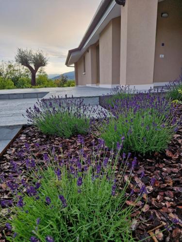 ALMA Guest House, Pieve di Soligo (foto 6)