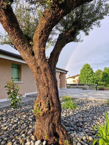ALMA Guest House, Pieve di Soligo (foto 5)