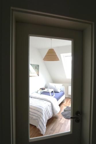 FroschKönig FroschKönig