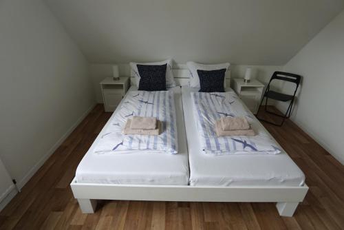 FroschKönig FroschKönig